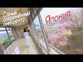 Лучший раковый центр в Японии: протонная терапия и особый уход  / The best cancer center in Japan