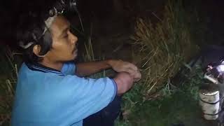 Memang ampuuh!!! Mesin hipnotis burung