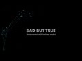 Metallica Sad But True Instrumental With Backing Vocals mp3