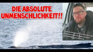 The whale belongs to NO ONE! Absolute German bureaucratic madness 🐳