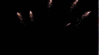 1620 Crackling tail w dark red mines 2017