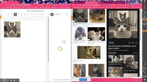 GIFs and Chat Bubbles in Classkick