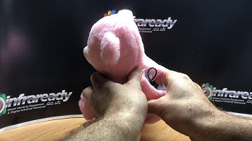 ‘GrAciE MaE’ Ghost Hunting REM Bear with Proximity Pod