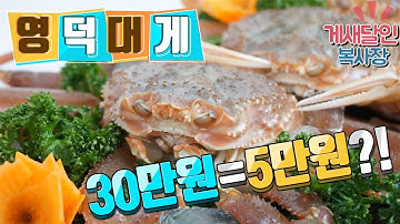 영덕대게 30만원이나 5만원이나 똑같다?! 알고 먹자!