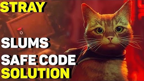 The Slums Safe Solution | Stray