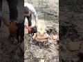 Chair made from chopped tree. #shorts