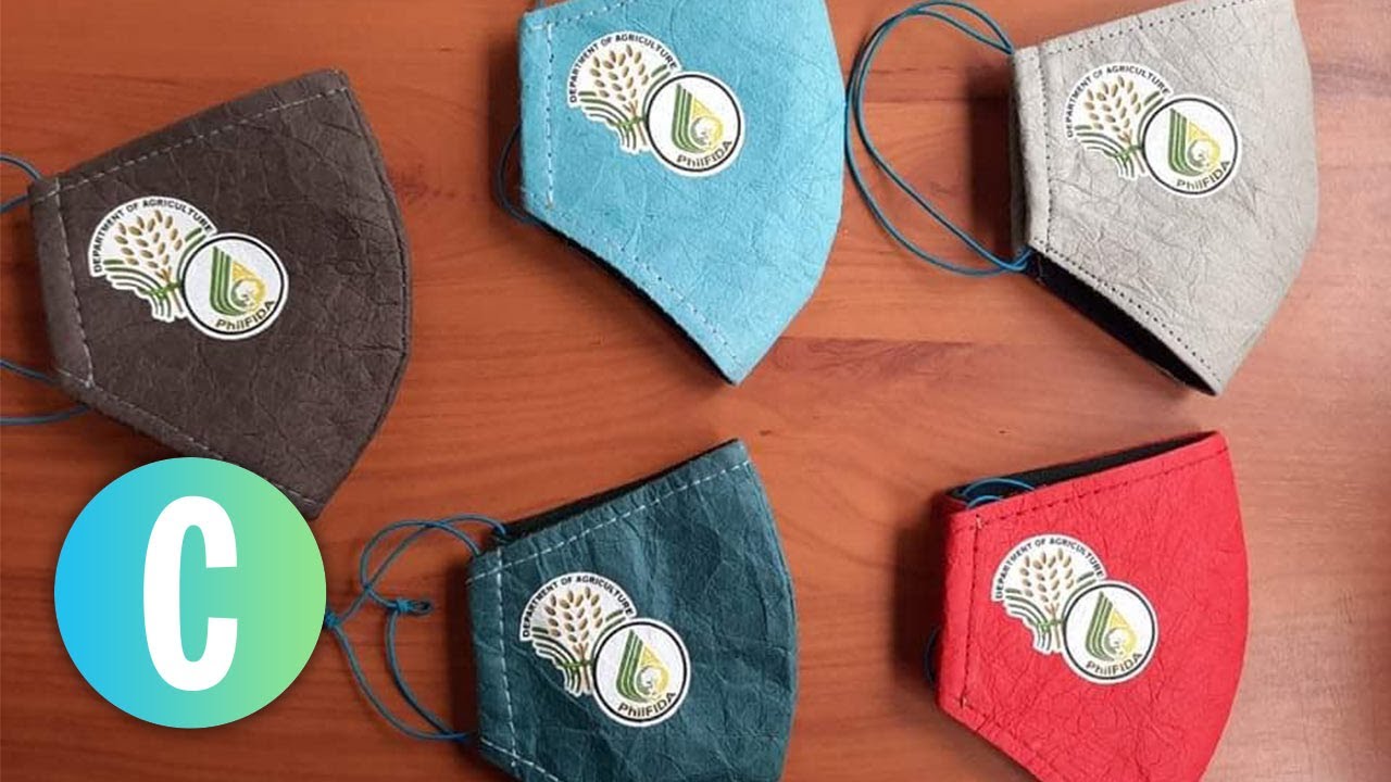 The Philippine Abaca Is A MultiUse Product—And It's Sustainable! YouTube