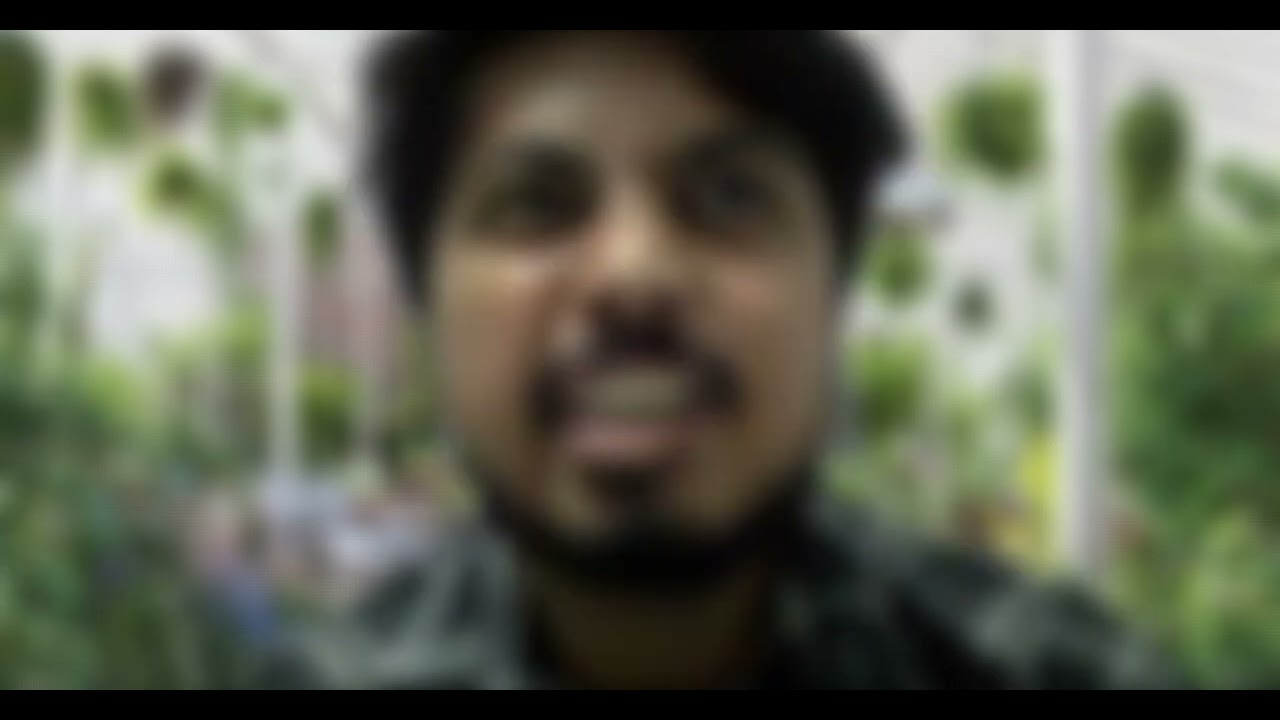 JavaScript Fullstack Interview | 3 Years Experience Node, React, Express, MongoDB