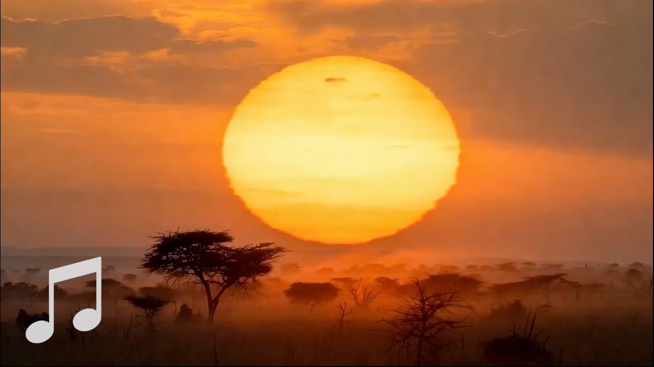 African Savannah Sunrise | Ambient Music & Nature Soundscape | For Relaxation, Meditation, & Focus