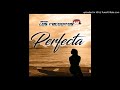 Banda Los Recoditos - Perfecta (ESTRENO 2019)