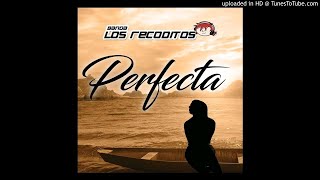 Banda Los Recoditos - Perfecta (ESTRENO 2019)