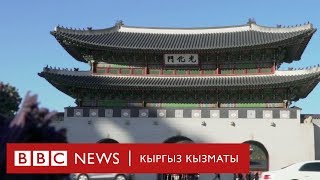 видео:  картинка:
