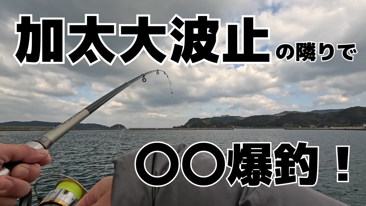 加太大波止！.....の隣りで〇〇爆釣が止まらない