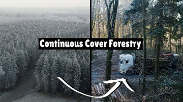 Why & How more-and-more Plantations are Converted into Mixed Woods for High-quality TIMBER &.. (CCF)
