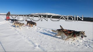 Yukon Dogsledding  Mushing a Team of Alaskan Huskies  Cabin Life E.5