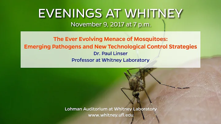 Evenings at Whitney - October 2017 - David Nolan