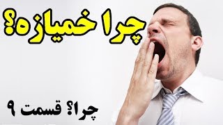 چرا خمیازه؟ Top 10 Farsi