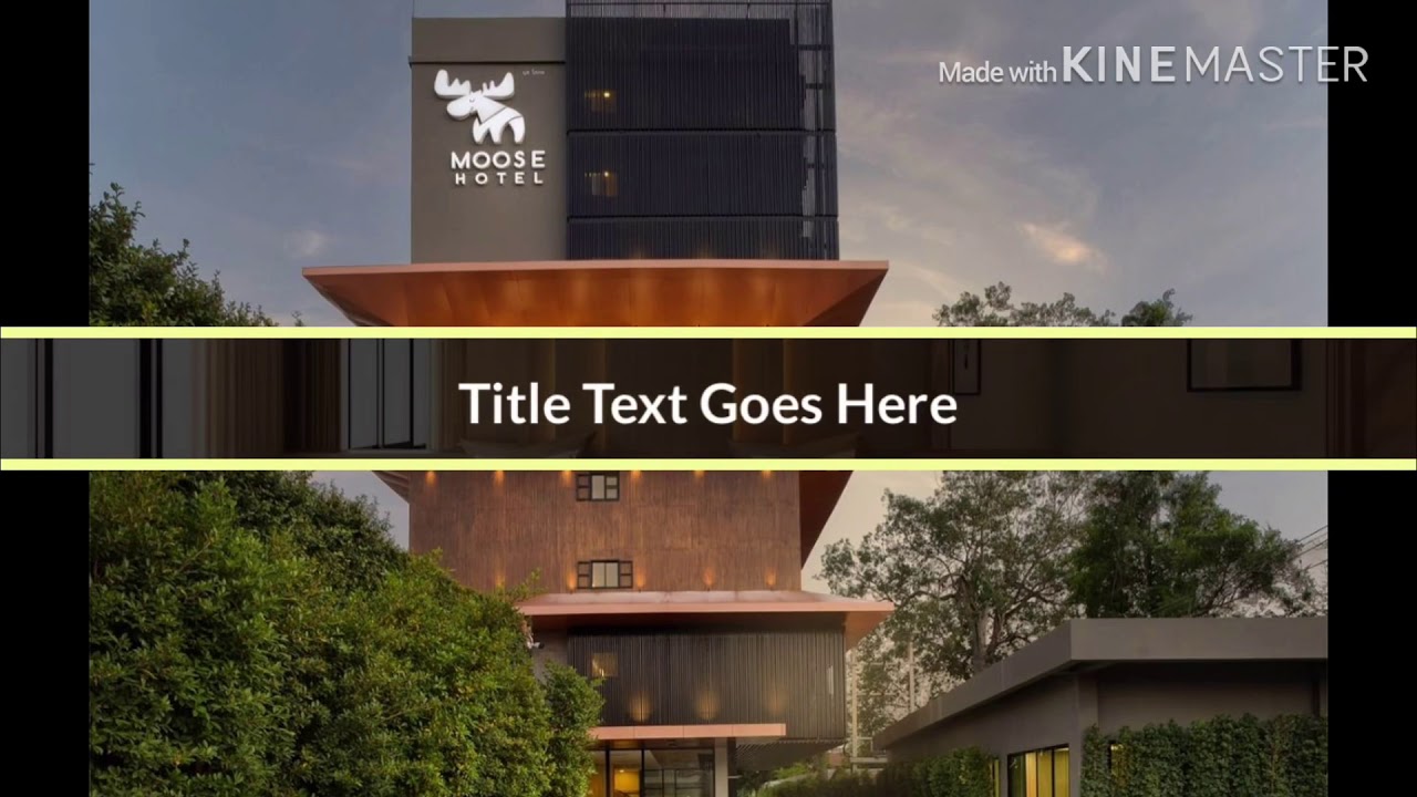 MOOSE HOTEL | moose hotel chiang maiข้อมูลที่เกี่ยวข้องทั้งหมด