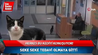 Bu Sosyal Medyada Viral Oldu Aklı Herkesi Şaşırttı