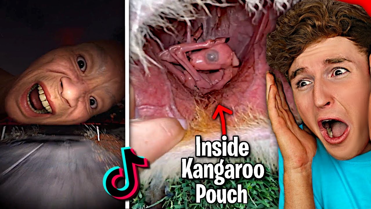 TikToks That Should Be ILLEGAL To Watch..