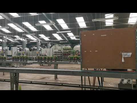 First job in Portsmouth | Flower company | beautiful place