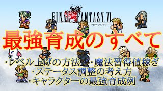 Ff6攻略 育成の全てを徹底解説 レベル上げ 魔法習得値稼ぎ ステータスカンスト調整 最強育成例も 個性は自分で作る Youtube Ff6攻略 育成の全てを徹底解説 レベル上げ 魔法習得値稼ぎ ステータスカンスト調整 最強育成例も 個性は自分で作る Youtube