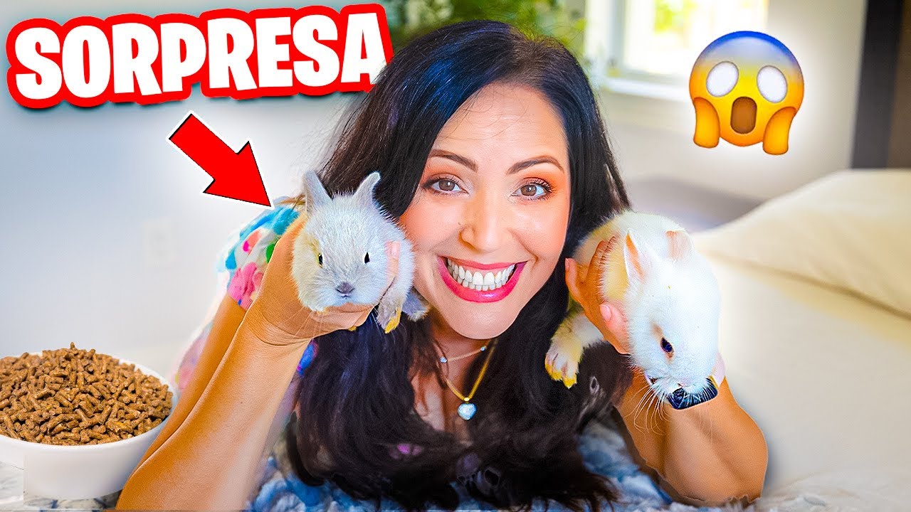 CONEJOS ENANOS 😱 SORPRESA ÉPICA 🔥 Sandra Cires Art