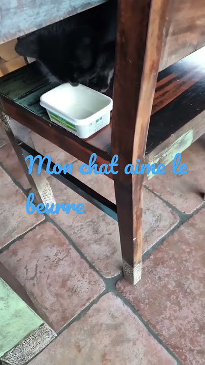 mon chat aime le beurre