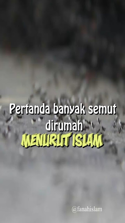 jangan diusir..Inilah pertanda banyak semut dirumah menurut islam #shortsfeed #shortsviral