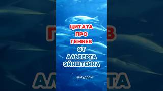 Все мы гении. Но если вы будете...#цитаты #мудрость #гении #жизнь #АльбертЭйнштейн