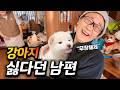 강아지 싫다던 남편의 뜻밖의 반응 | 일본 강아지 분양, 만만치 않은 비용과 절차