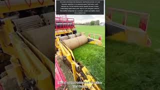 The Art of the Perfect Roll: Precision Turf Cutting