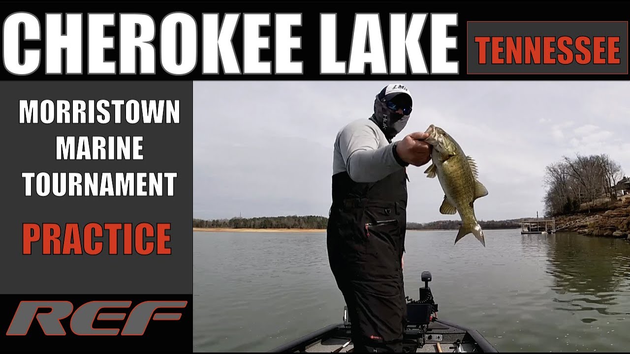 CHEROKEE LAKE Early Spring Bass Fishing Bass Manager The Best Bass