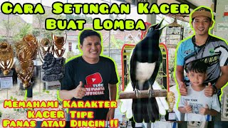 Setingan Kacer Tipe Panas ❗Setingan Kacer Tipe Panas Untuk Lomba ‼️