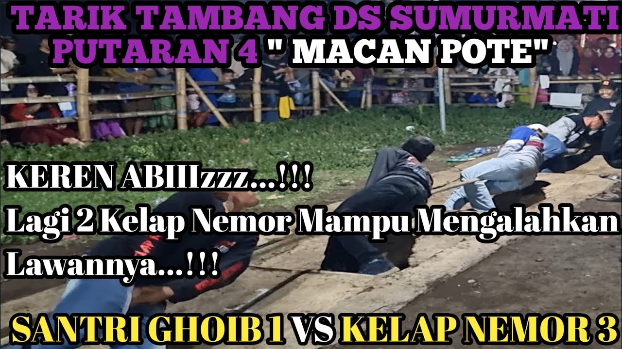 TARIK TAMBANG // SANTRI GHOIB 1 ( Lumbang ) Vs KELAP NEMOR 3 ( Pamatan ) Arena Sumurmati