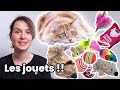 Les meilleurs jouets pour chats et le pire 