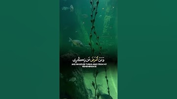 اكتب شيء تؤجر عليه❤️ #quran #راحة_نفسية #تلاوة_خاشعة #اكسبلور #قرآن #nature #قران_كريم
