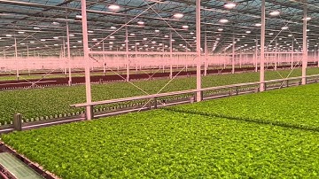 FGM U.S. Moving Gutter System @fgm.dk