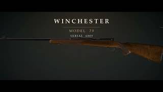 Information Winchester Model 70 serial number: where it is and how to read it Update