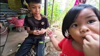 CUCU KUMANG JAWAI AMBIL BUAH KASAI TANPA KEBENARAN // CHEK BUBU PAYUNG SELEPAS 4 JAM // 