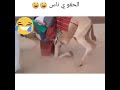 الحقوني ياناس