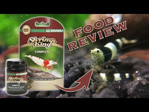 Dennerle Shrimp King Review - Complete