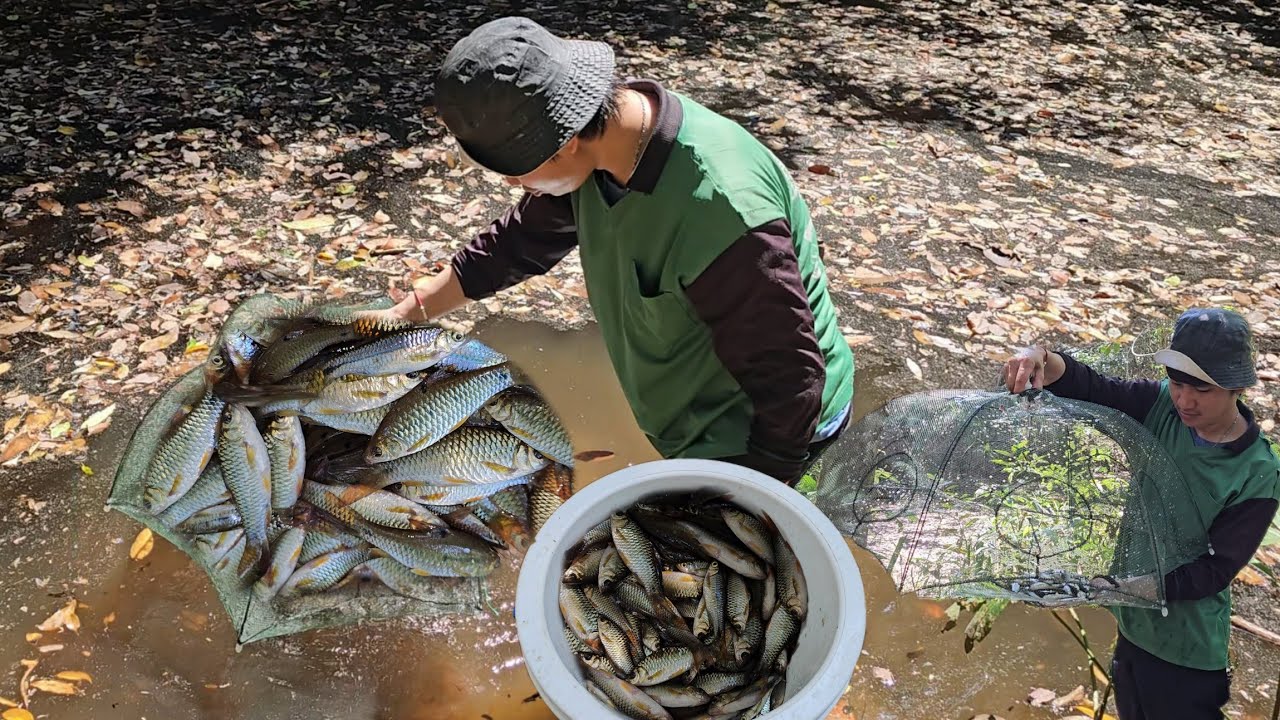 ใส่ตุ้มปลาหมายนี้ยกหลังแรกมีเฮ หมานเกือบ2กิโล 14/2/2569