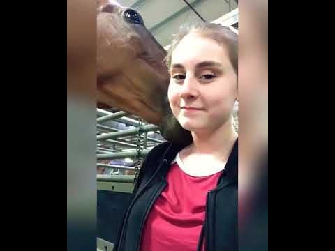 Atla sevişen kadın SİLİNMEDEN İZLE !!! #+18 #at #horse #animals