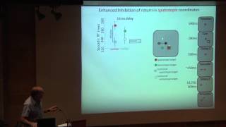 FROM ICNC TO ELSC | Udi Zohary & Dov Sagi