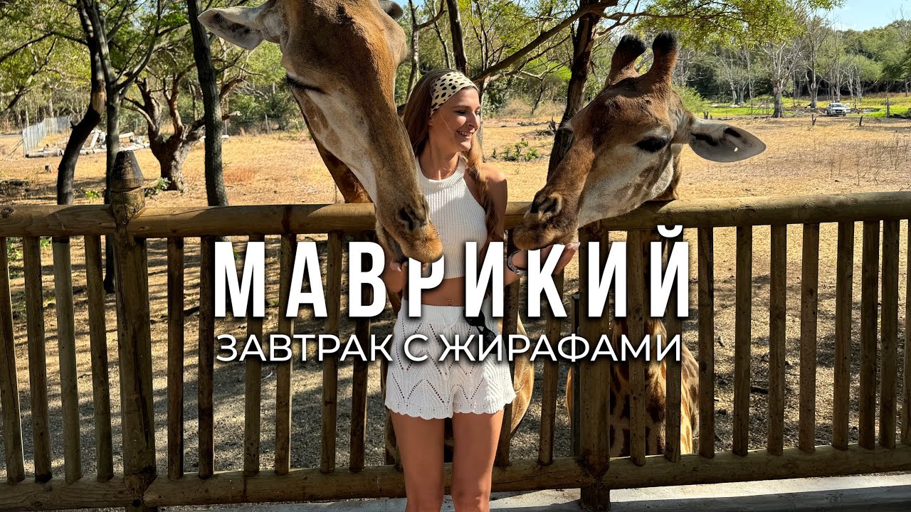 ЗАВТРАК С ЖИРАФАМИ на Маврикий: как забронировать, нюансы и цены.