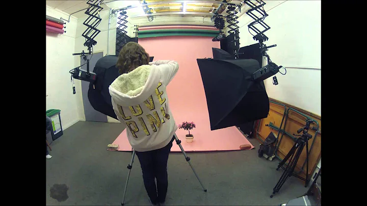 Studio Photoshoot of Azalea Plant by Elaine de Vries