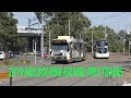 4K 2019 Melbourne Grand Prix Trams near the Casino ...