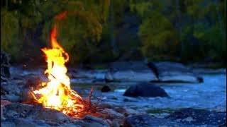 Relaxing Native Flute & Campfire in 4k | Calming Water & Bird Sounds | 1 Hour |