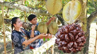 Pick durain to make dessert, Nipa palm fruit curry chicken, June plum chili sauce and chicken ginger